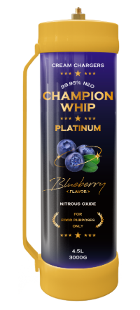 ChampionWhip-cream-charger--3000g-blueberry