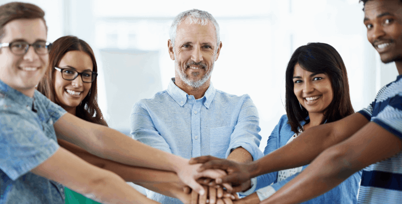 Toegewijde Groothandelondersteuning | Champion Whip