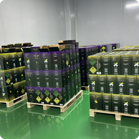  Bajo MOQ | Champion Whip