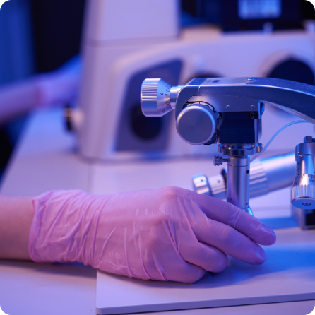  99,95% de pureza | Champion Whip